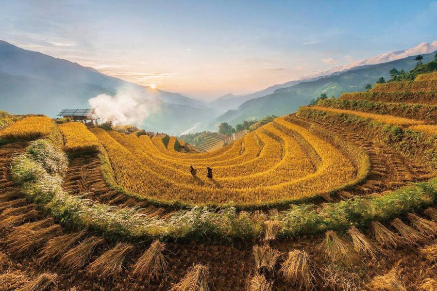 [6N5Đ] CẦN THƠ - HÀ NỘI - NINH BÌNH - HẠ LONG - SAPA