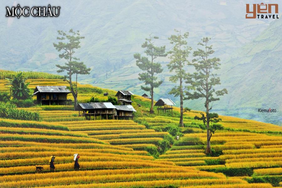 [6N5Đ] HÀ NỘI - MỘC CHÂU - ĐIỆN BIÊN - SAPA